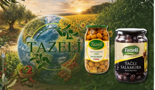 Zeytin Çeşitleri